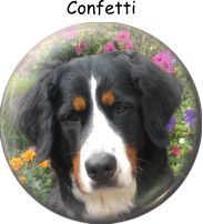 Confetti