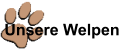 Unsere Welpen